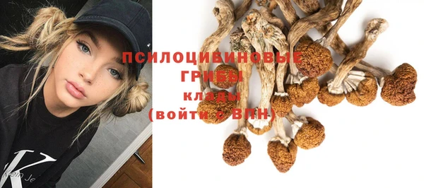 эйфоретик Михайловск
