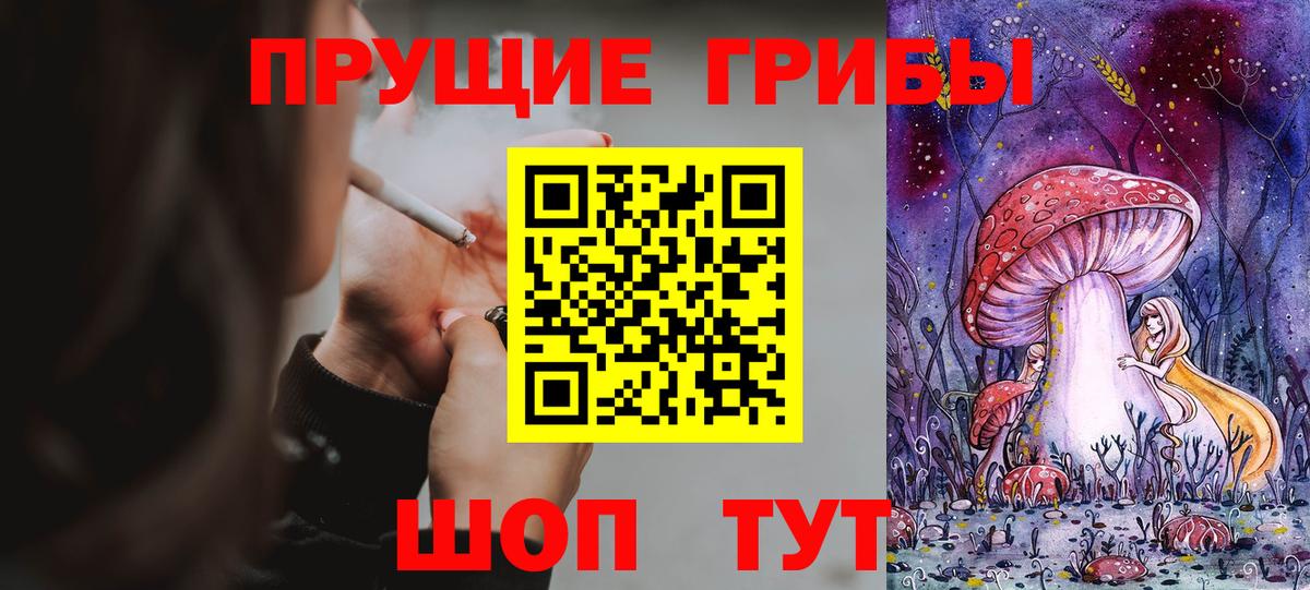 Псилоцибиновые грибы Psilocybe  Вход с VPN  Лабинск 